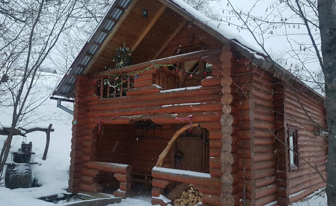 У Медовому Раю Villa Rostoka  Exterior photo